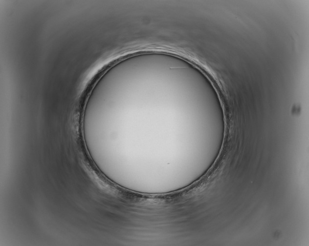 X0000095921503200801110842