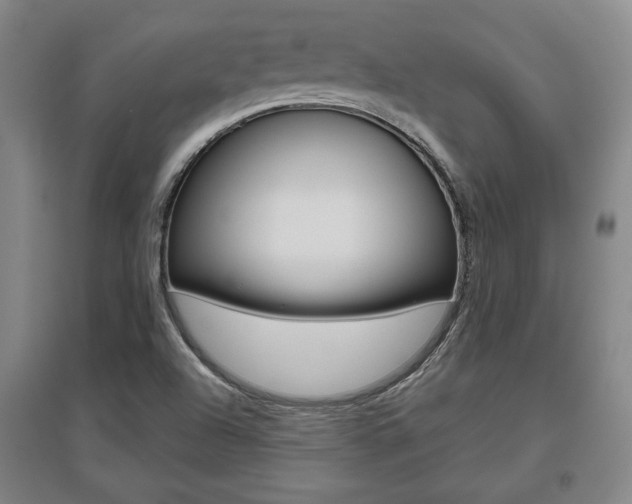 X0000095921504200801110842