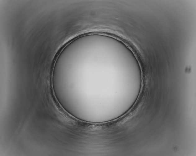 X0000095921505200801110842
