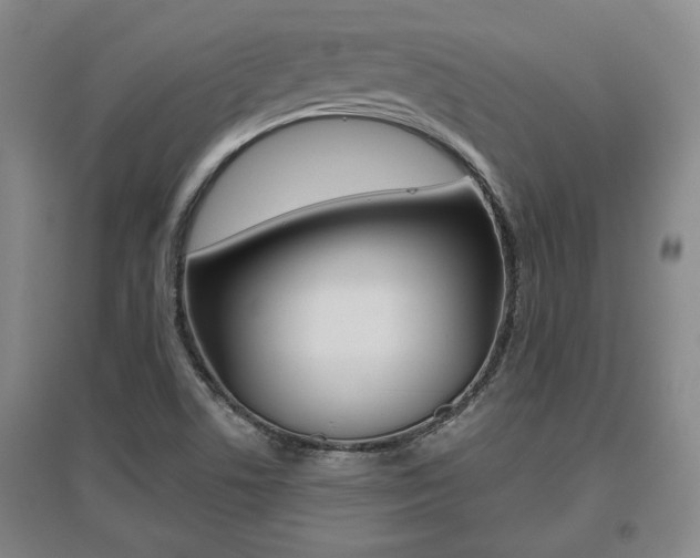 X0000095921506200801110842