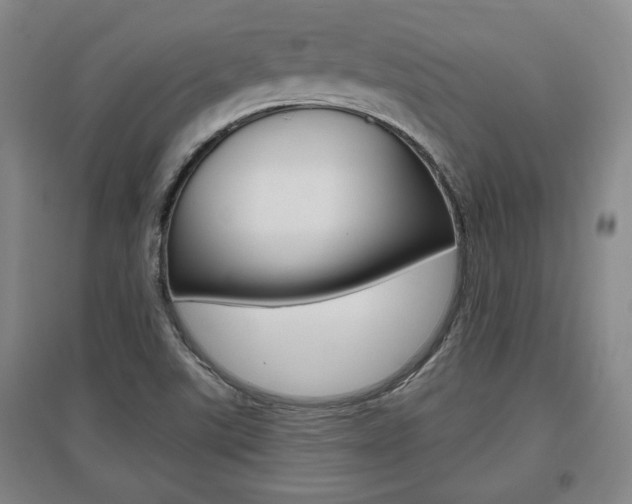 X0000095921507200801110842