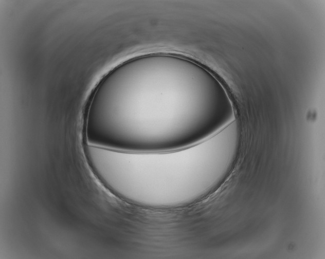 X0000095921508200801110842