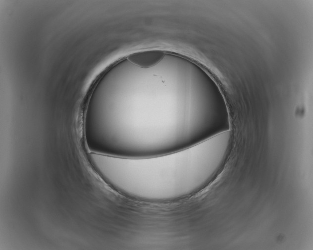 X0000095921510200801110842
