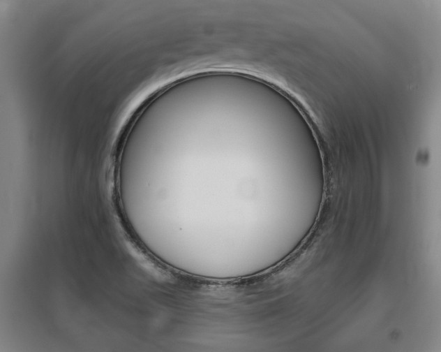 X0000095921511200801110842