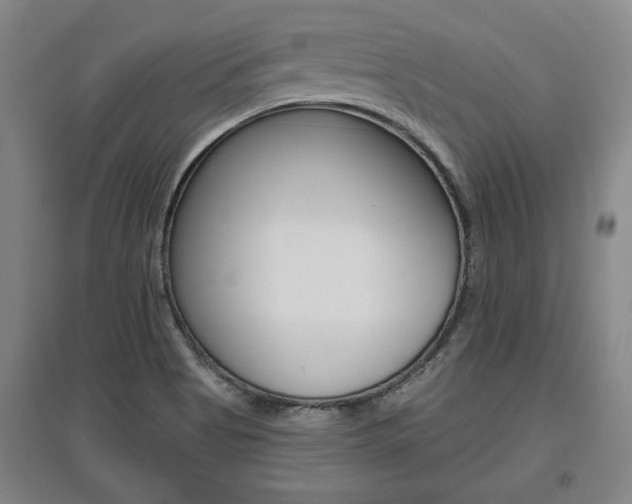 X0000095921513200801110842