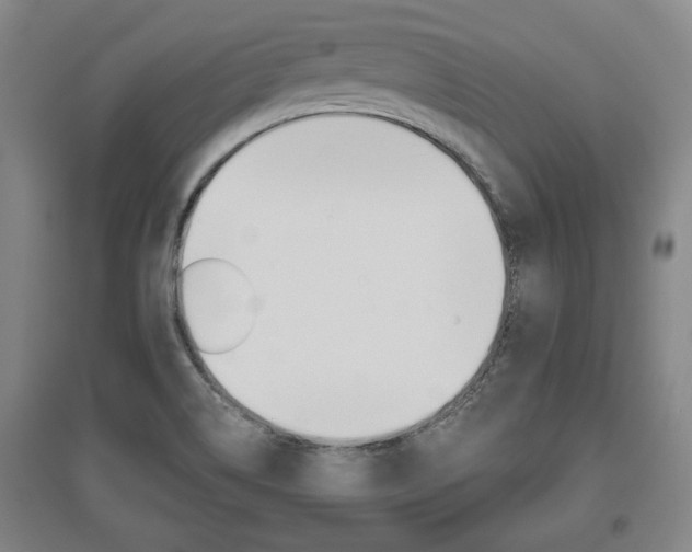 X0000095921514200801110842