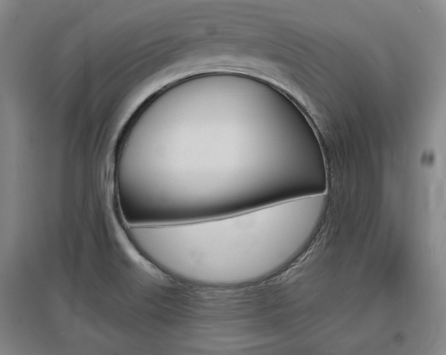 X0000095921515200801110842