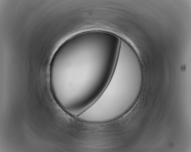 X0000095921516200801110842