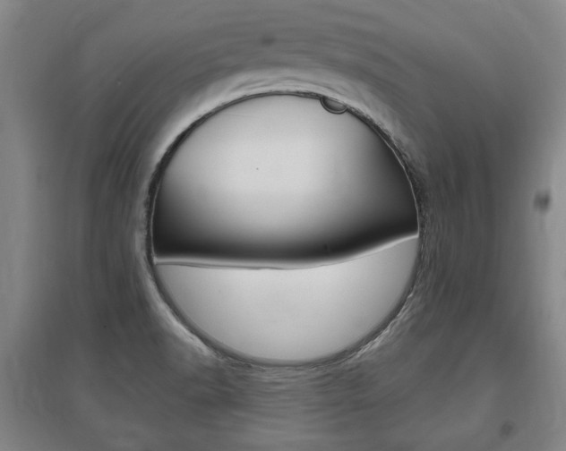 X0000095921518200801110842