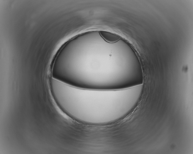 X0000095921519200801110842