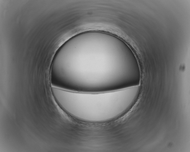 X0000095921521200801110842