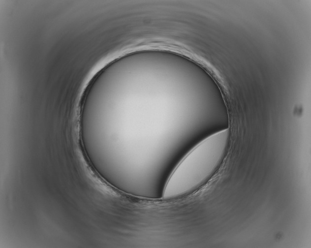 X0000095921522200801110842
