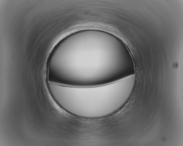 X0000095921523200801110842
