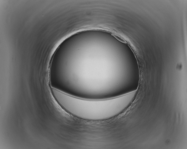 X0000095921524200801110842