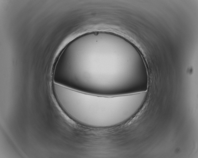 X0000095921525200801110842