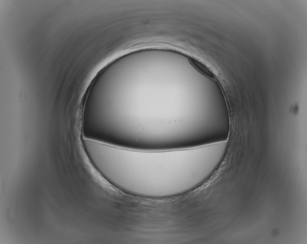 X0000095921526200801110842