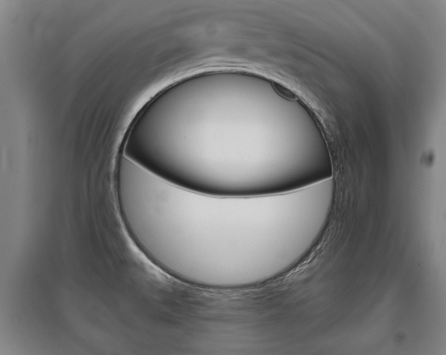 X0000095921527200801110842
