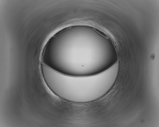 X0000095921528200801110842