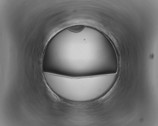 X0000095921529200801110843