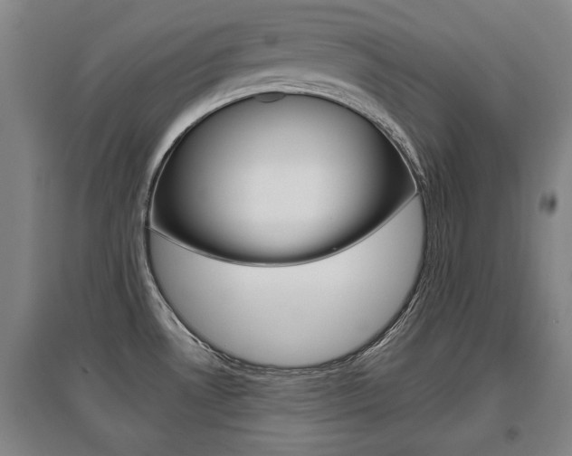 X0000095921530200801110843