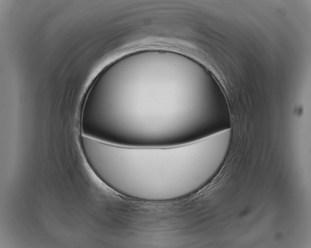 X0000095921531200801110843