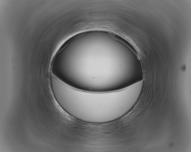 X0000095921532200801110843