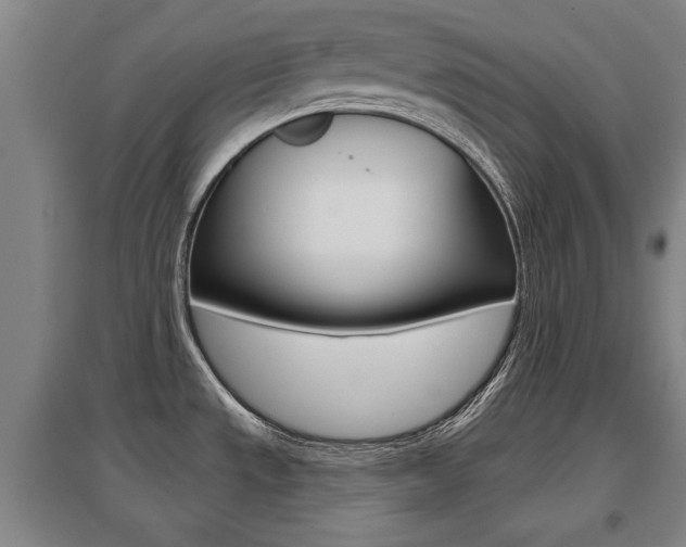 X0000095921533200801110843