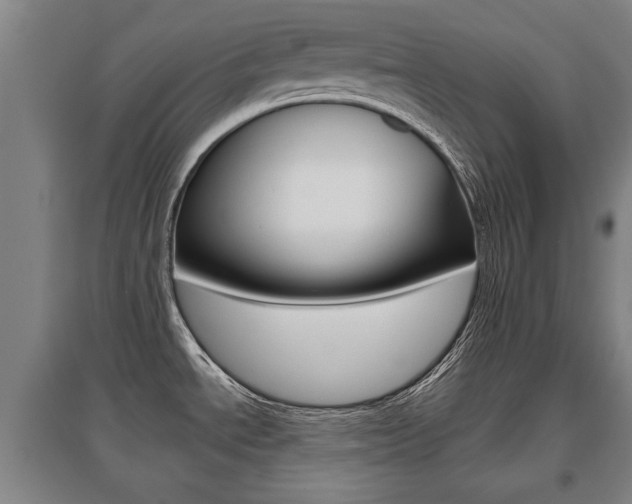 X0000095921534200801110843