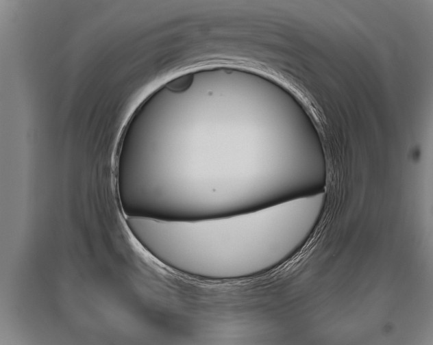 X0000095921535200801110843