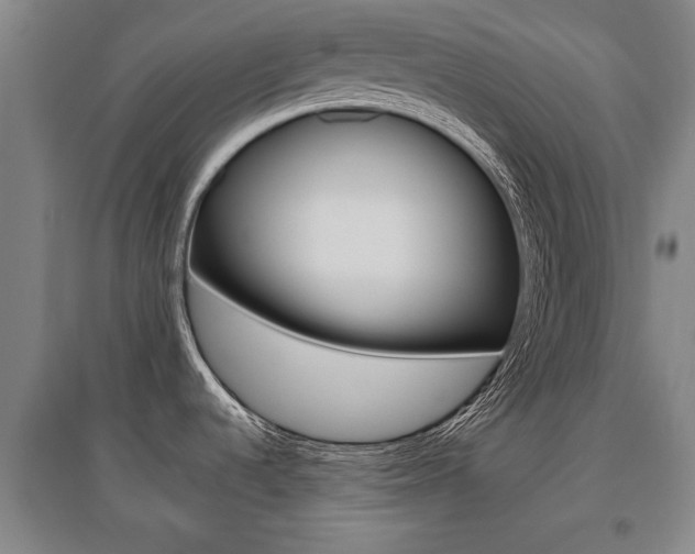 X0000095921536200801110843