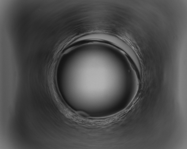 X0000095920001200801111244