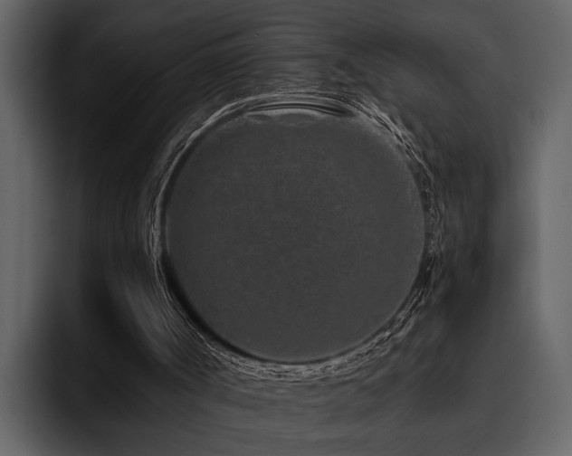 X0000095920002200801111244