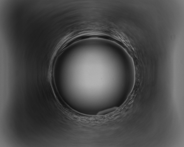 X0000095920003200801111244