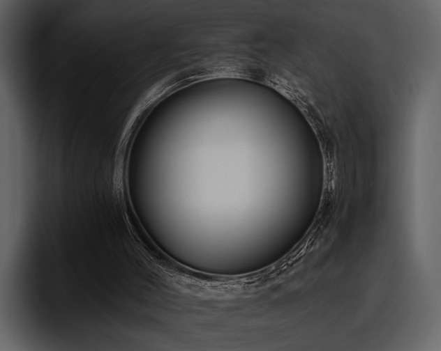 X0000095920004200801111244