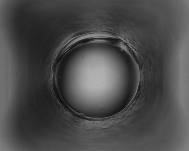 X0000095920005200801111244