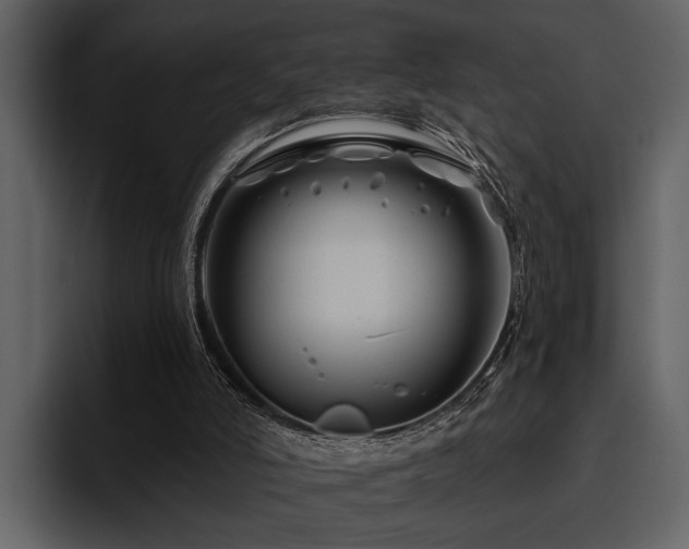 X0000095920006200801111244