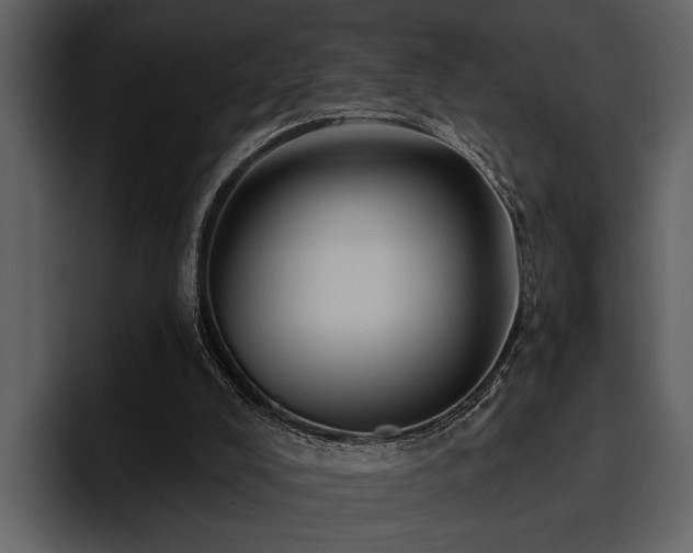 X0000095920008200801111244