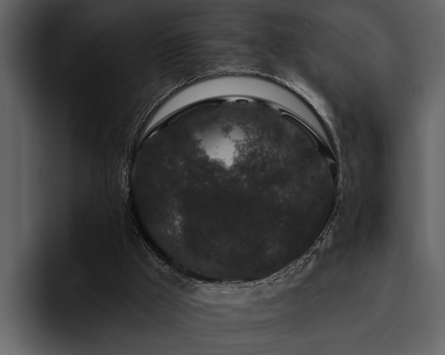 X0000095920009200801111244