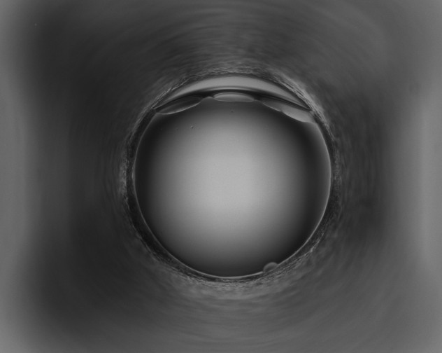 X0000095920010200801111244