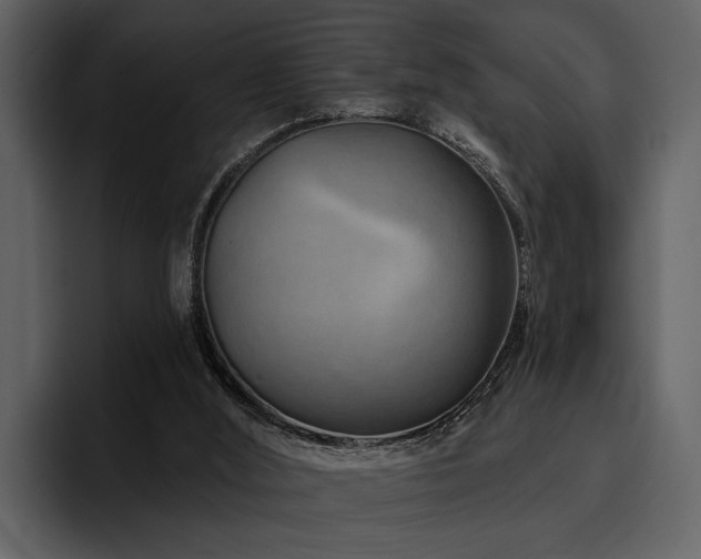 X0000095920012200801111244