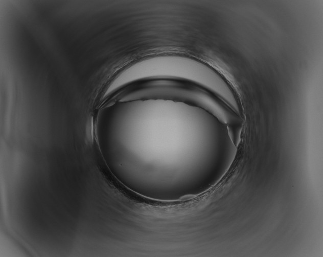 X0000095920013200801111244