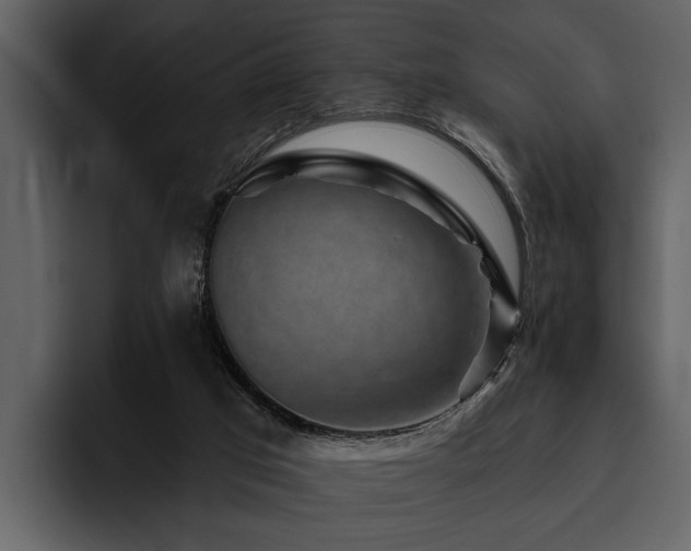 X0000095920017200801111244