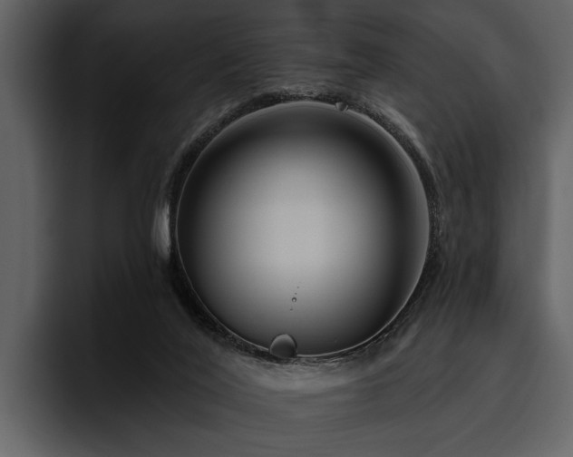 X0000095920020200801111244