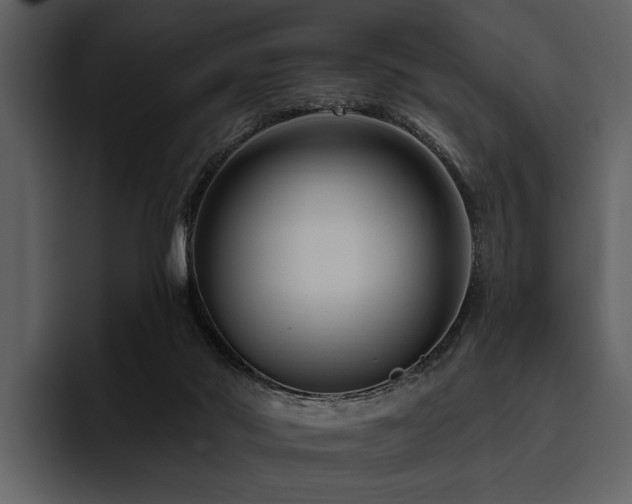 X0000095920022200801111244