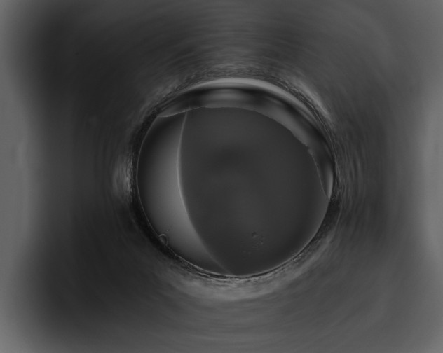 X0000095920023200801111244