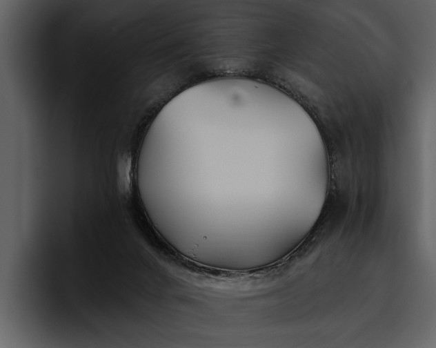 X0000095920024200801111244