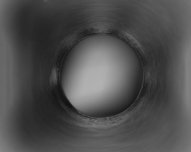 X0000095920026200801111244