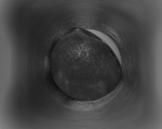 X0000095920029200801111244