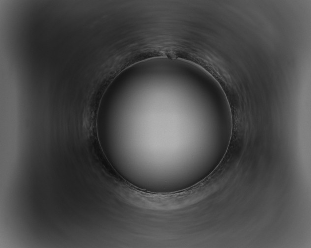 X0000095920030200801111244