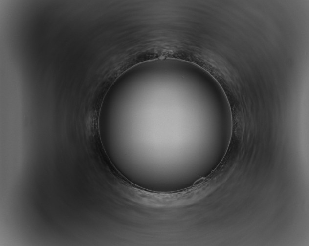 X0000095920034200801111244